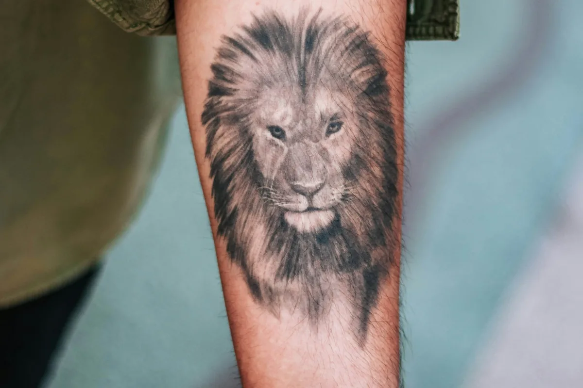 Black and grey realism lion tattoo on a forearm