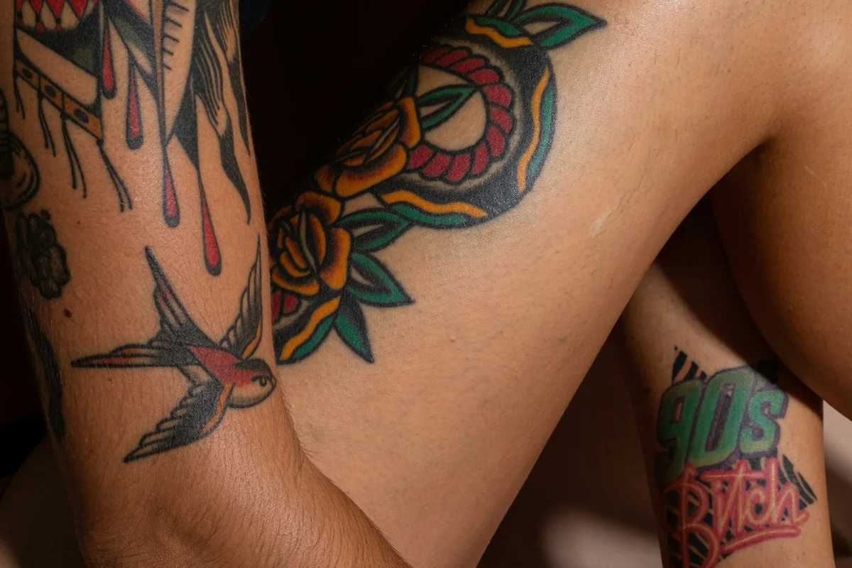 Traditional colour tattoos of a swallow, rose and snake on a pair of legs